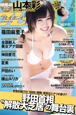 芈月传电视剧